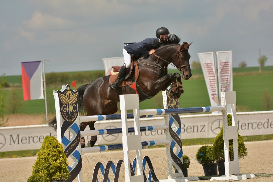 Velká cena Martinic 2014, Skoková soutěž st. 