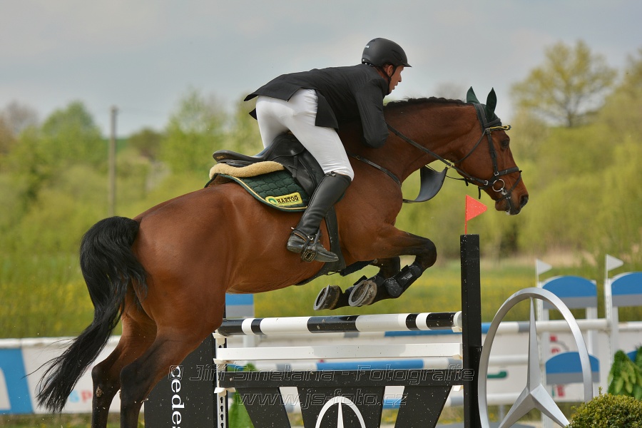Velká cena Martinic 2014, Skoková soutěž st. 