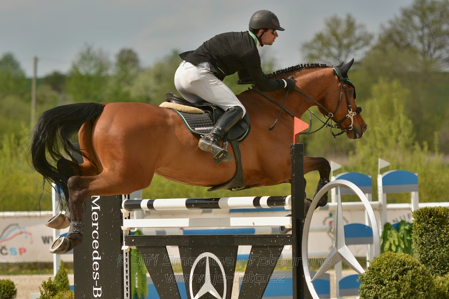 Velká cena Martinic 2014, Skoková soutěž st. 