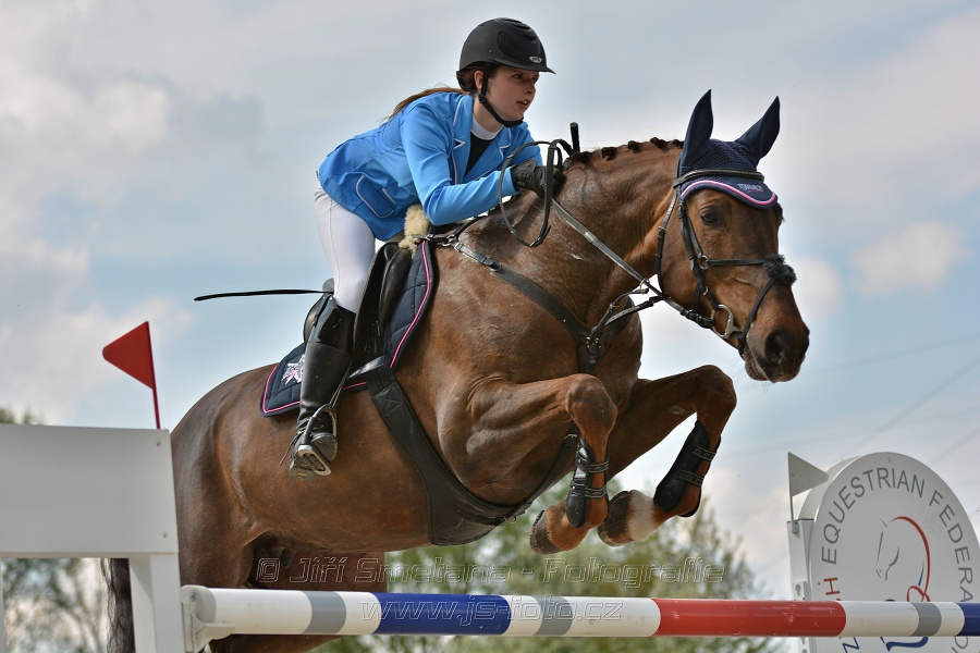 Velká cena Martinic 2014, Skoková soutěž st. 