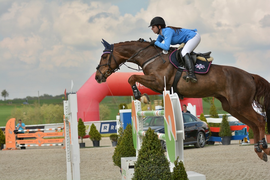 Velká cena Martinic 2014, Skoková soutěž st. 