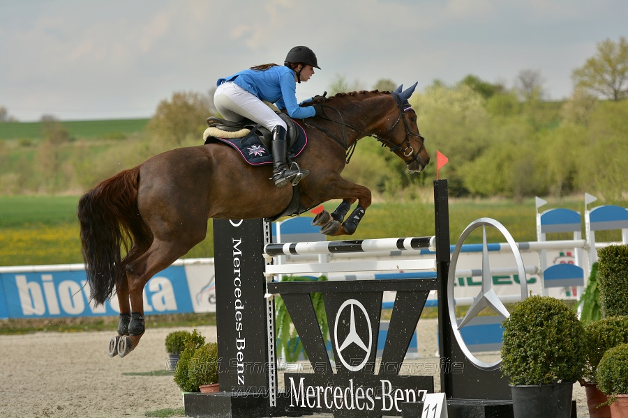 Velká cena Martinic 2014, Skoková soutěž st. 