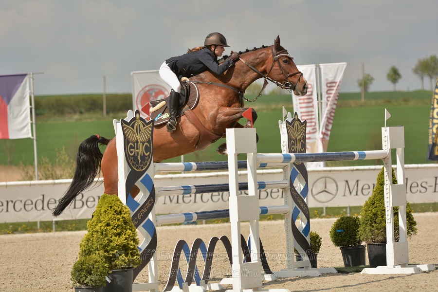Velká cena Martinic 2014, Skoková soutěž st. 