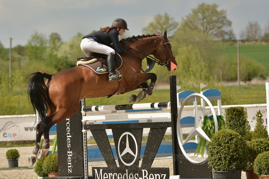 Velká cena Martinic 2014, Skoková soutěž st. 