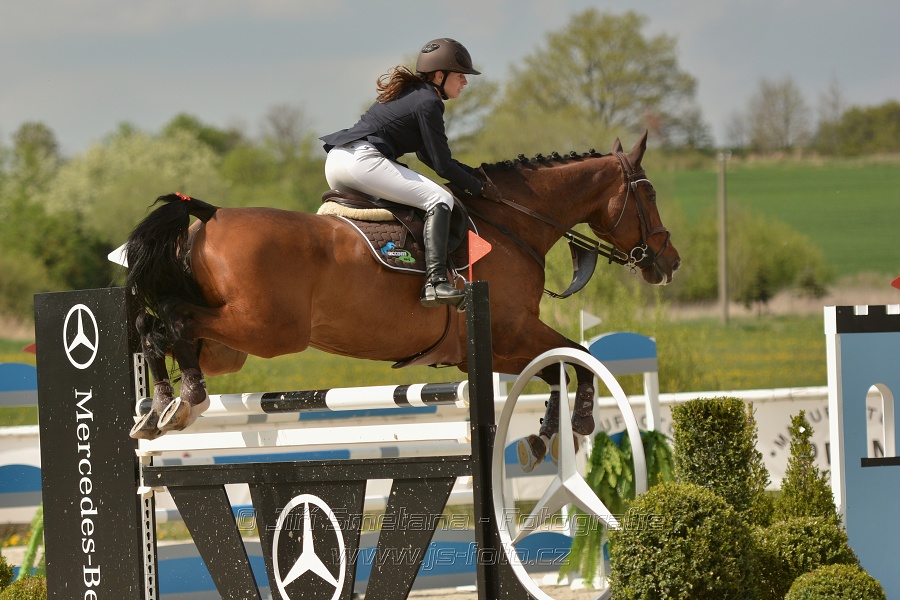 Velká cena Martinic 2014, Skoková soutěž st. 