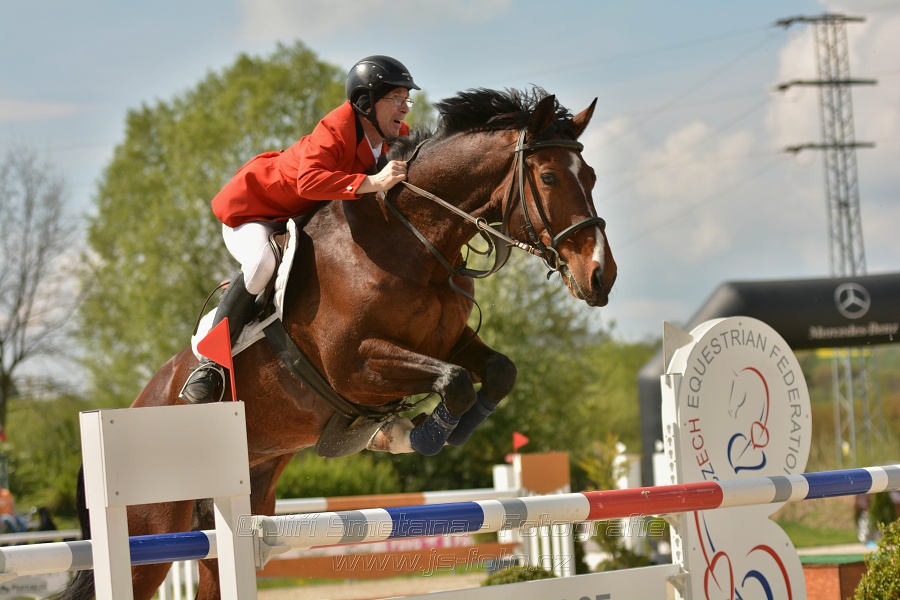 Velká cena Martinic 2014, Skoková soutěž st. 