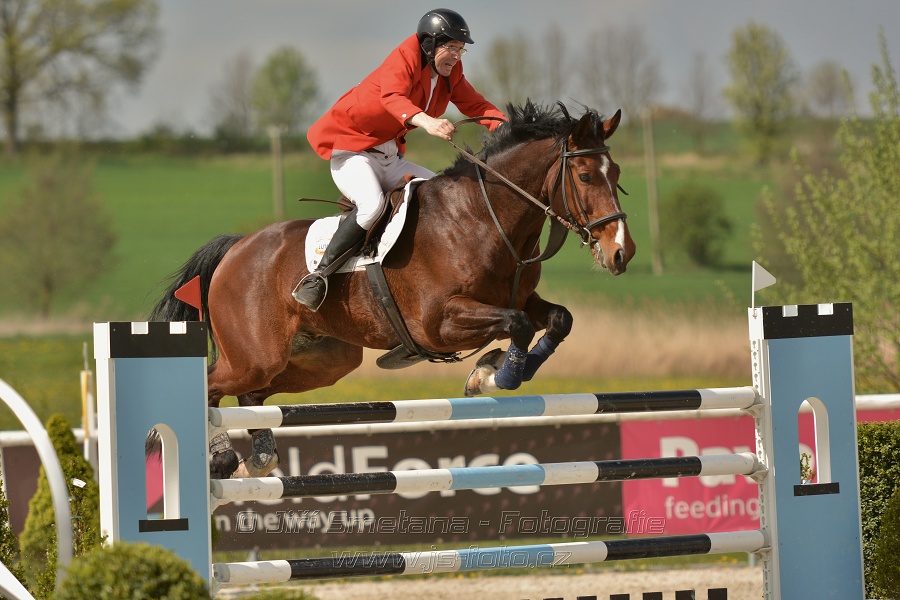 Velká cena Martinic 2014, Skoková soutěž st. 
