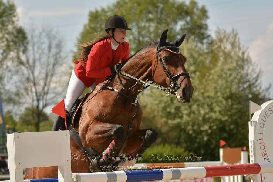 Velká cena Martinic 2014, Skoková soutěž st. 