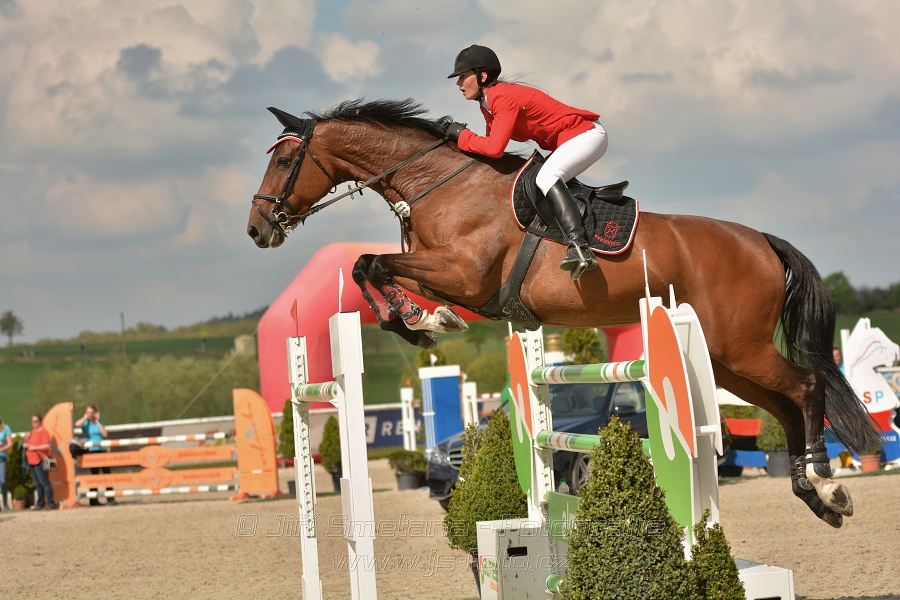 Velká cena Martinic 2014, Skoková soutěž st. 