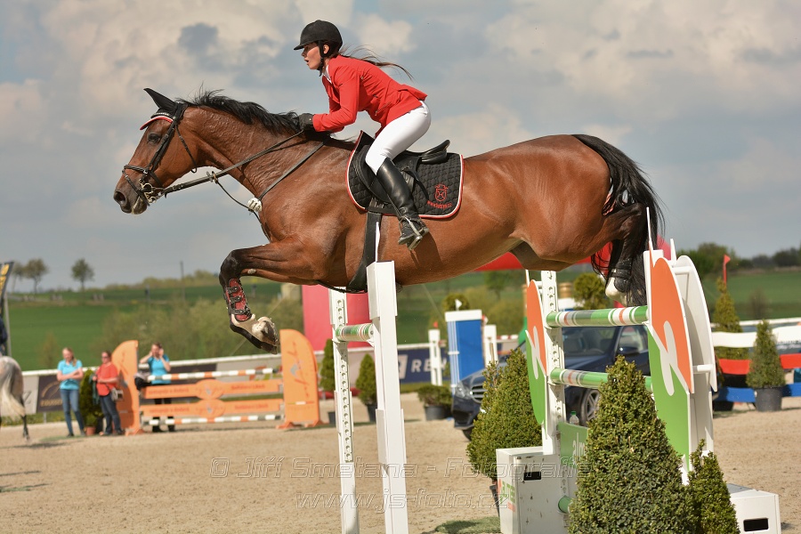 Velká cena Martinic 2014, Skoková soutěž st. 