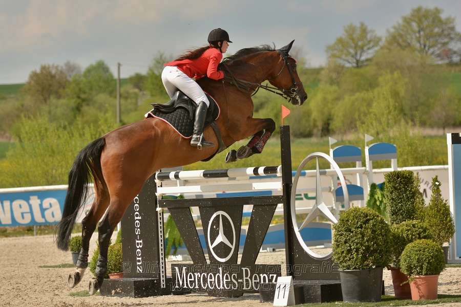 Velká cena Martinic 2014, Skoková soutěž st. 