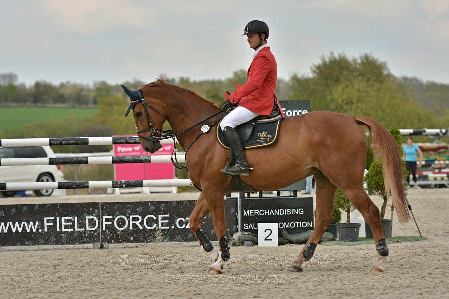 Velká cena Martinic 2014, Skoková soutěž st. 
