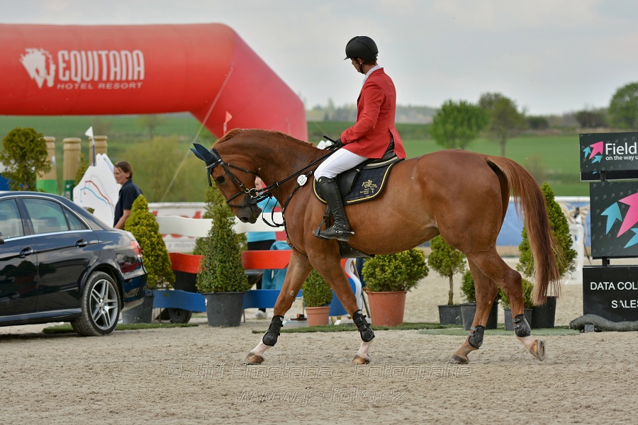 Velká cena Martinic 2014, Skoková soutěž st. 