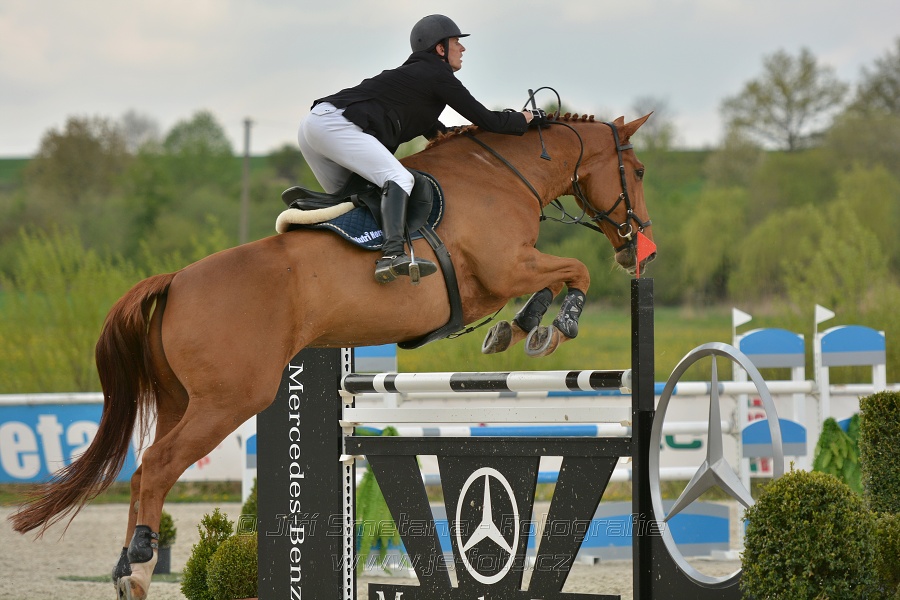 Velká cena Martinic 2014, Skoková soutěž st. 