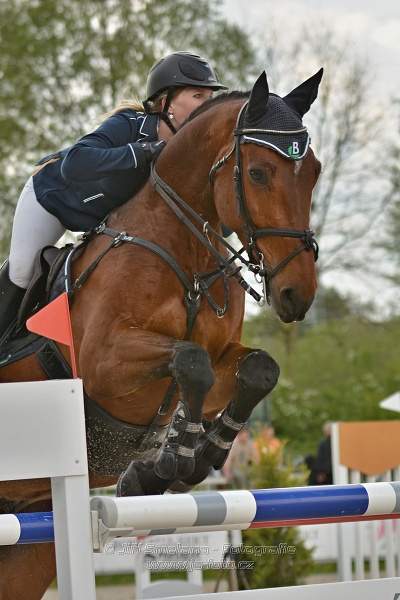 Velká cena Martinic 2014, Skoková soutěž st. 