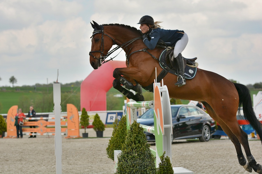 Velká cena Martinic 2014, Skoková soutěž st. 