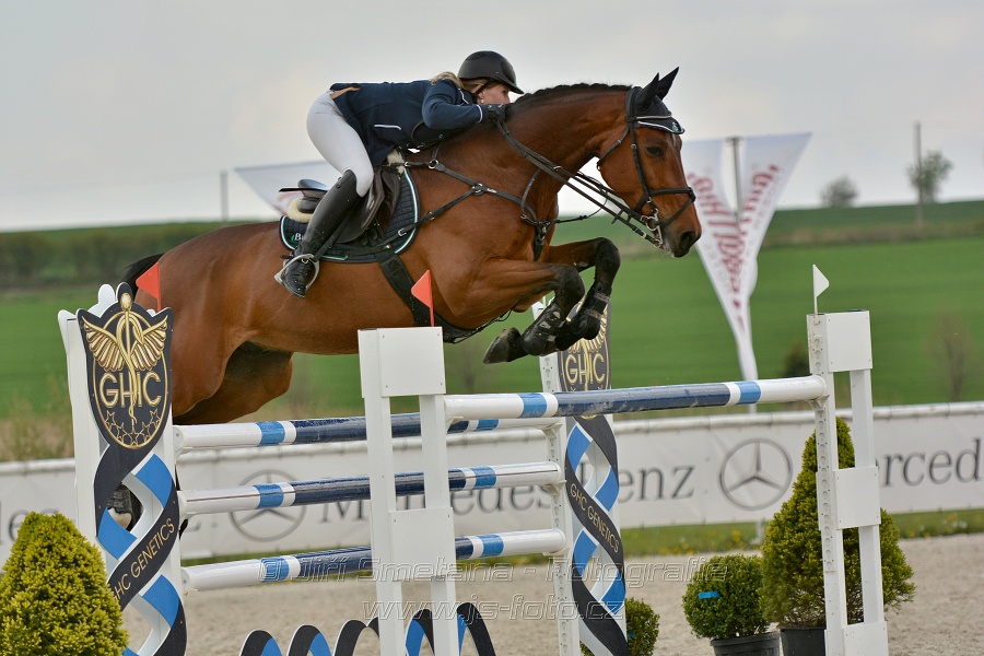 Velká cena Martinic 2014, Skoková soutěž st. 