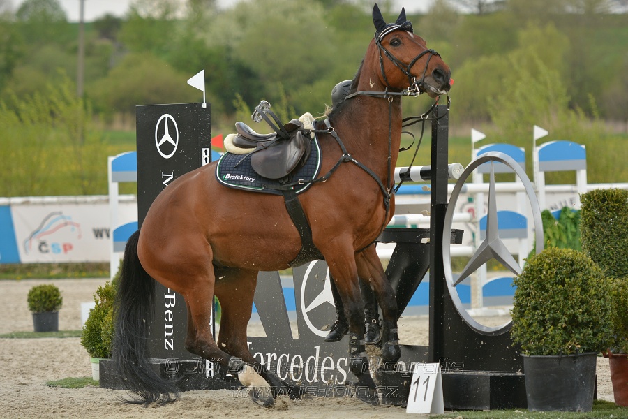 Velká cena Martinic 2014, Skoková soutěž st. 