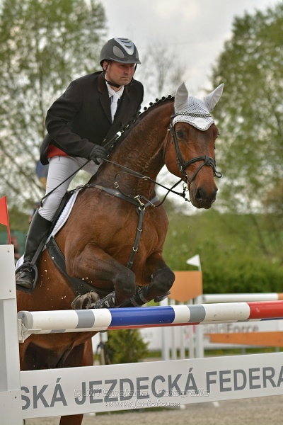Velká cena Martinic 2014, Skoková soutěž st. 