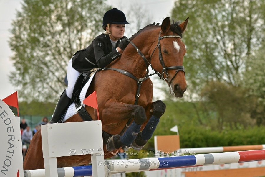 Velká cena Martinic 2014, Skoková soutěž st. 