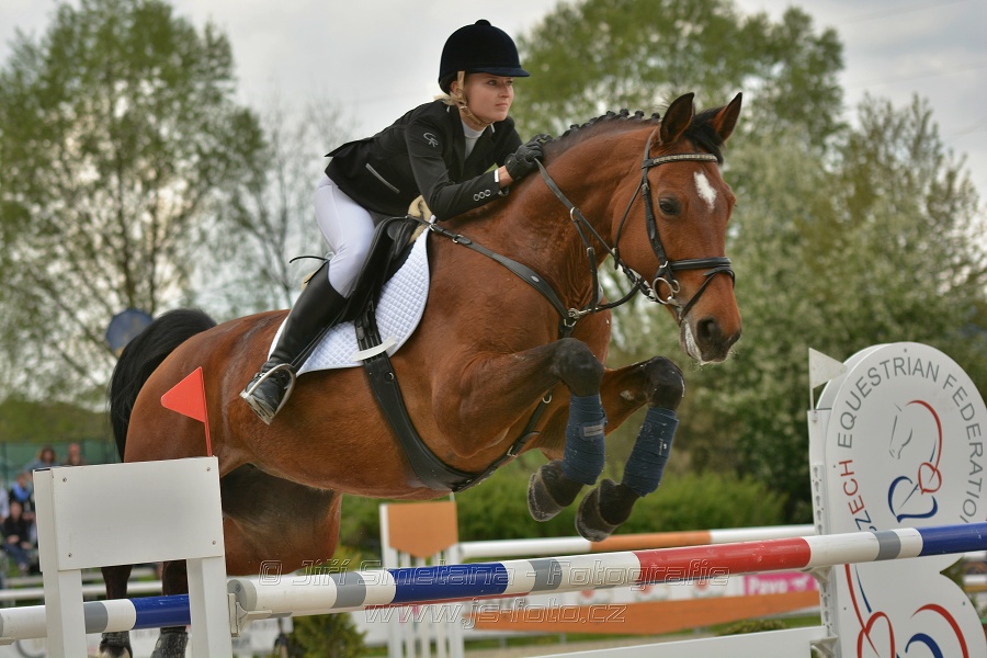 Velká cena Martinic 2014, Skoková soutěž st. 