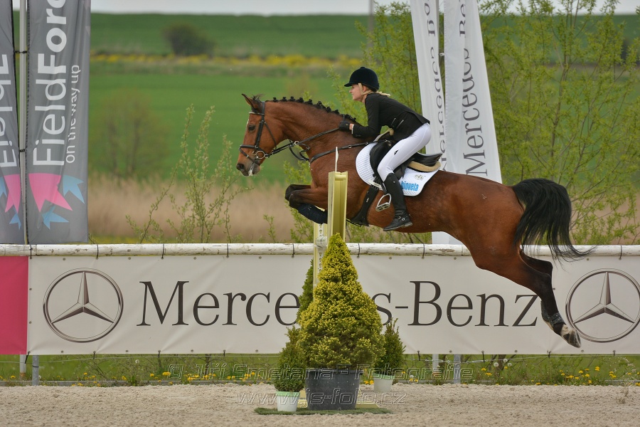Velká cena Martinic 2014, Skoková soutěž st. 