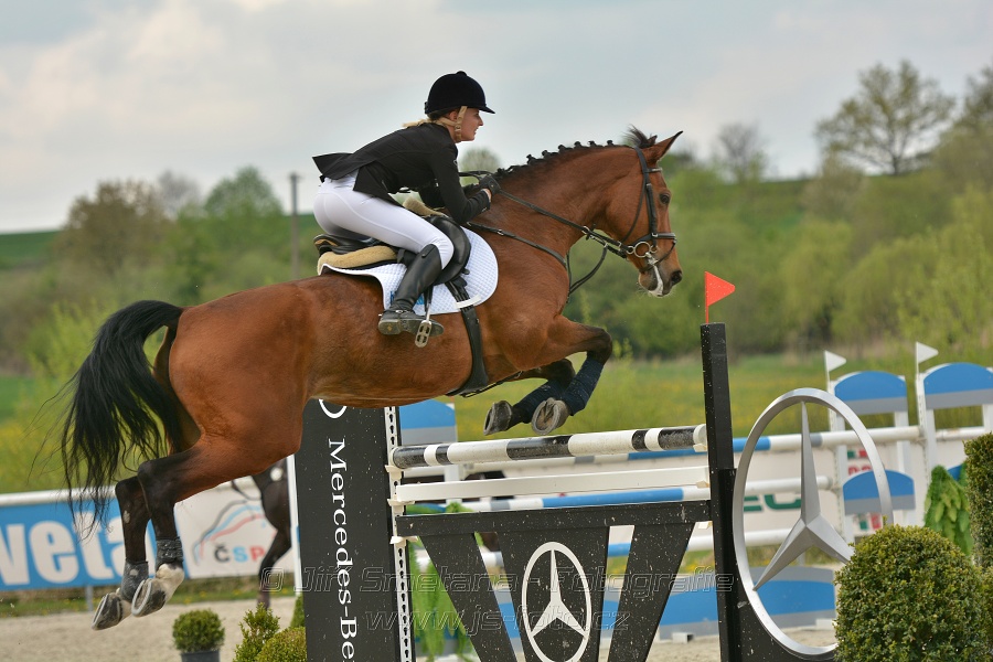 Velká cena Martinic 2014, Skoková soutěž st. 