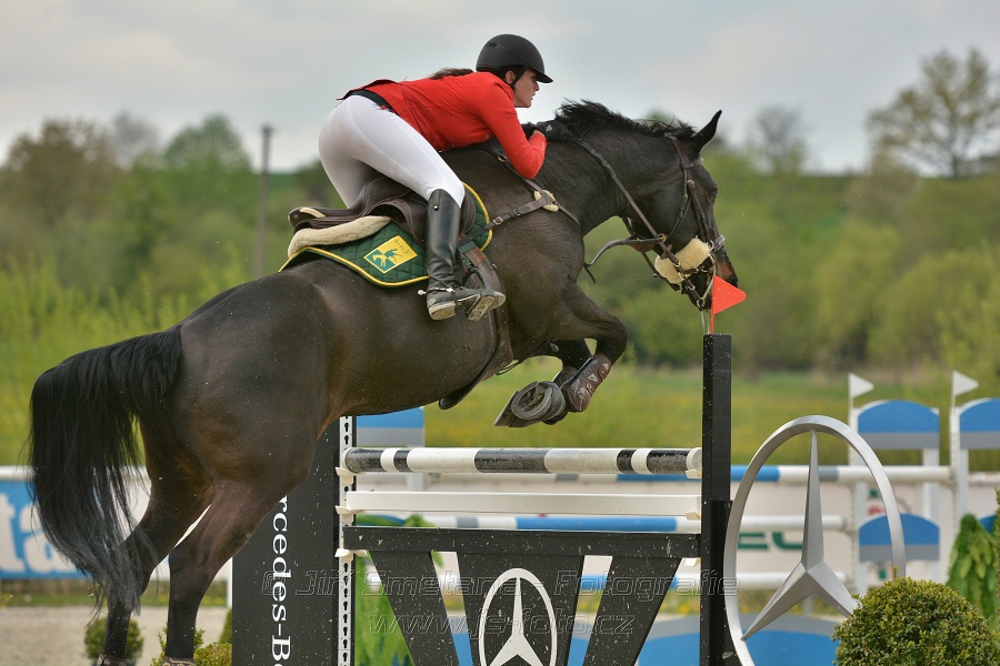 Velká cena Martinic 2014, Skoková soutěž st. 