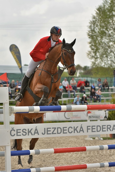 Velká cena Martinic 2014, Skoková soutěž st. 