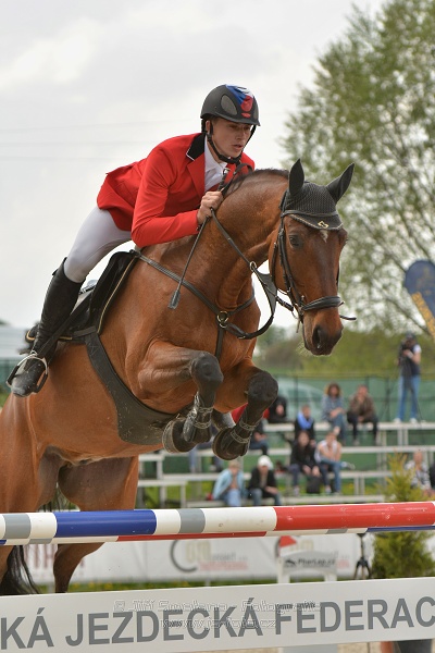 Velká cena Martinic 2014, Skoková soutěž st. 