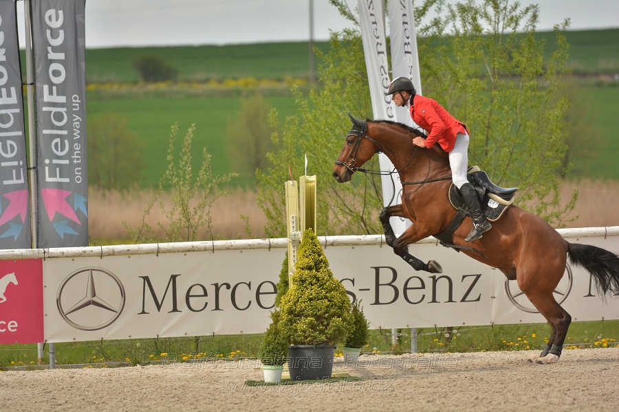 Velká cena Martinic 2014, Skoková soutěž st. 