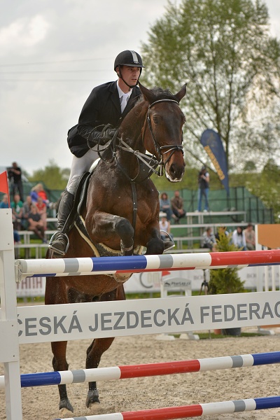 Velká cena Martinic 2014, Skoková soutěž st. 