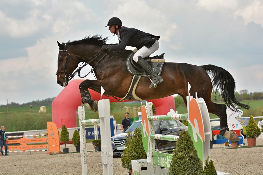 Velká cena Martinic 2014, Skoková soutěž st. 