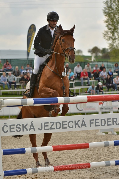 Velká cena Martinic 2014, Skoková soutěž st. 