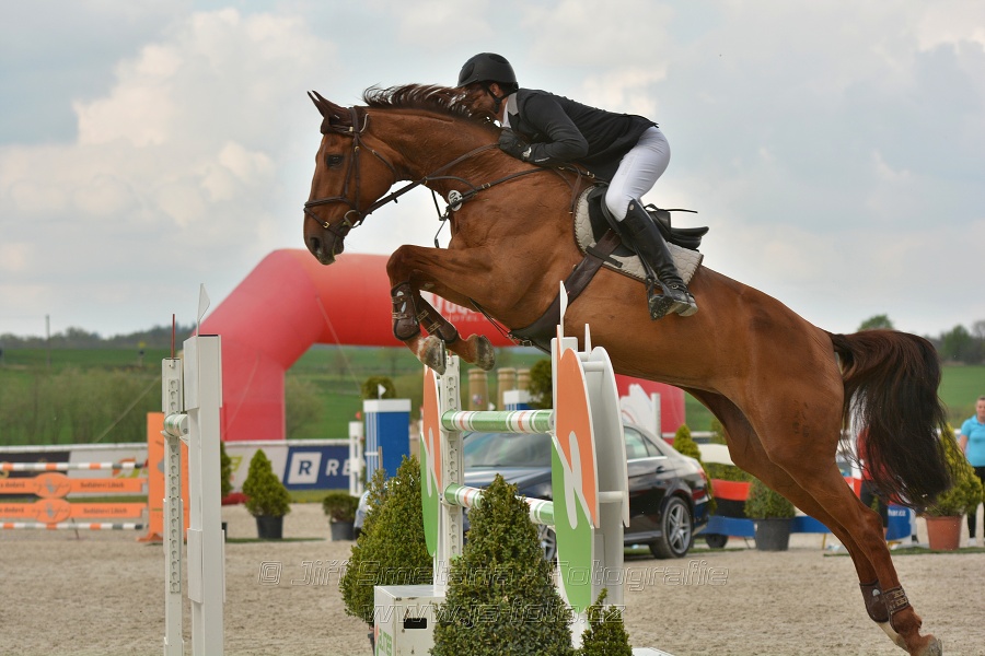 Velká cena Martinic 2014, Skoková soutěž st. 
