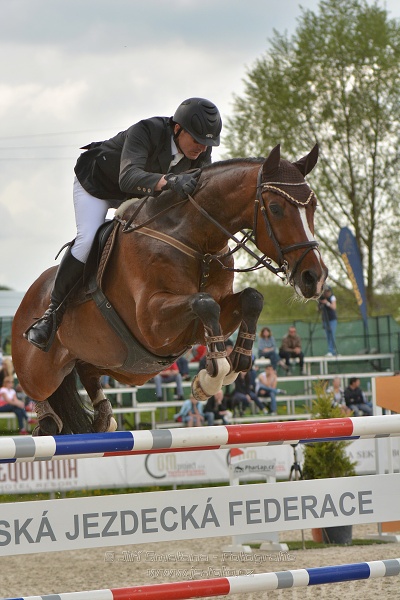 Velká cena Martinic 2014, Skoková soutěž st. 