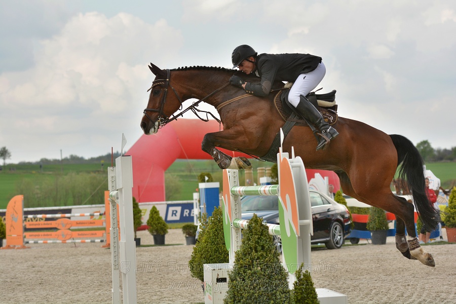Velká cena Martinic 2014, Skoková soutěž st. 