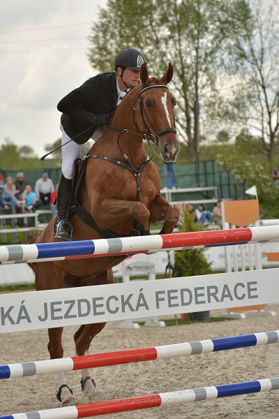 Velká cena Martinic 2014, Skoková soutěž st. 