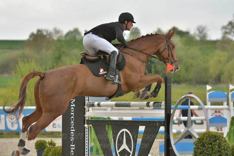 Velká cena Martinic 2014, Skoková soutěž st. 