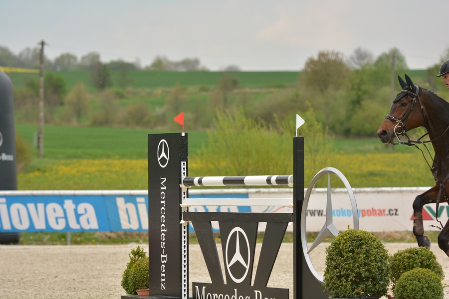 Velká cena Martinic 2014, Skoková soutěž st. 