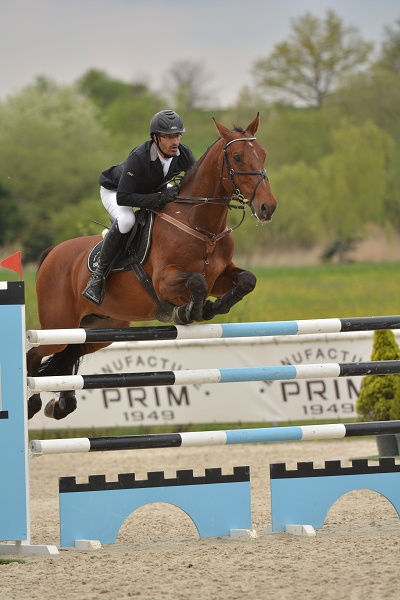 Velká cena Martinic 2014, Skoková soutěž st. 