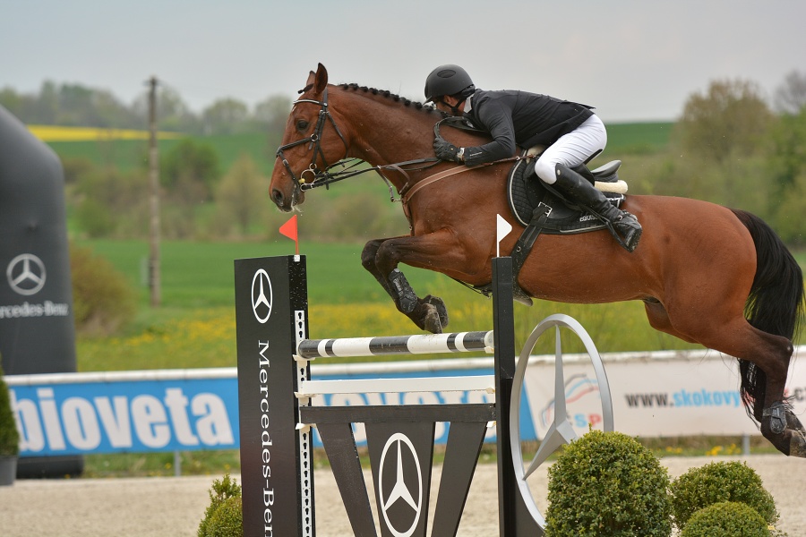 Velká cena Martinic 2014, Skoková soutěž st. 