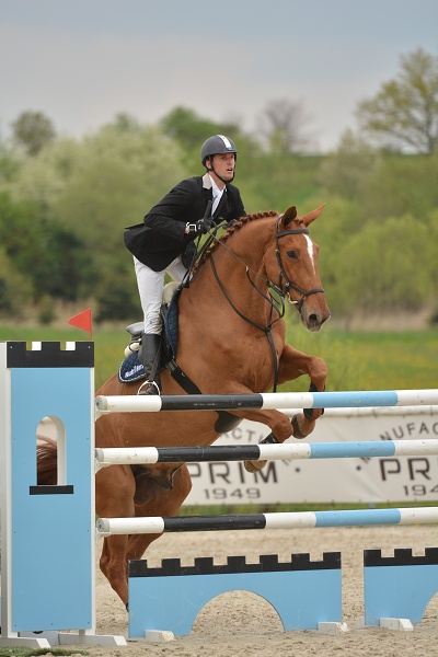 Velká cena Martinic 2014, Skoková soutěž st. 
