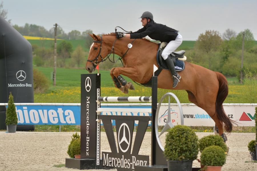 Velká cena Martinic 2014, Skoková soutěž st. 