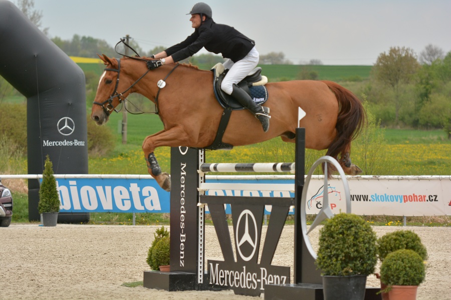 Velká cena Martinic 2014, Skoková soutěž st. 