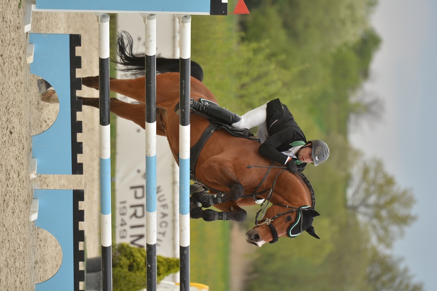 Velká cena Martinic 2014, Skoková soutěž st. 