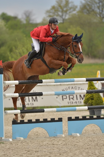 Velká cena Martinic 2014, Skoková soutěž st. 