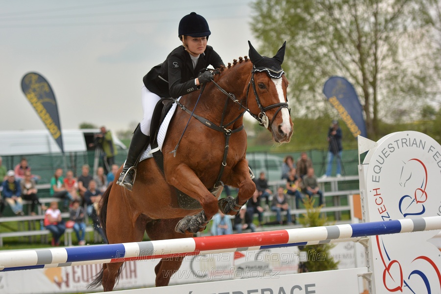 Velká cena Martinic 2014, Skoková soutěž st. 