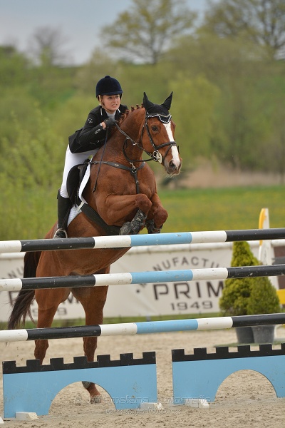 Velká cena Martinic 2014, Skoková soutěž st. 