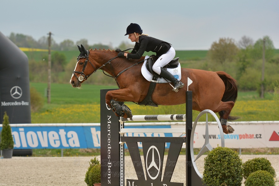 Velká cena Martinic 2014, Skoková soutěž st. 